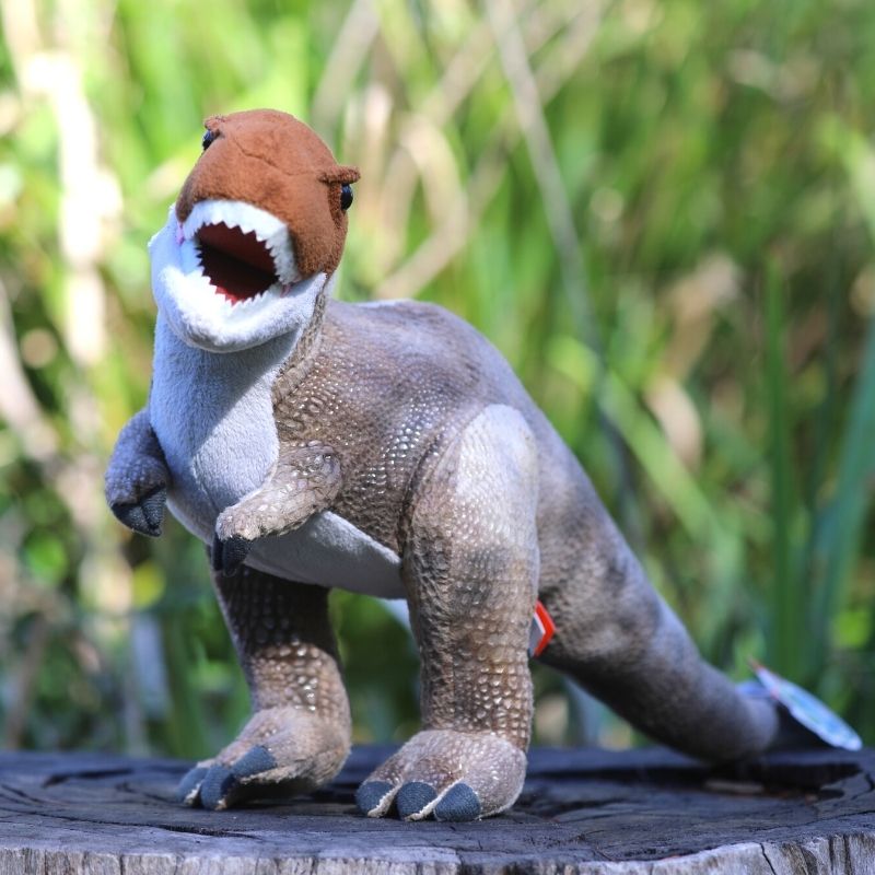 Dinosaur Plush Toy - Tyrannosaurus Rex (T-Rex) - Australian Reptile Park