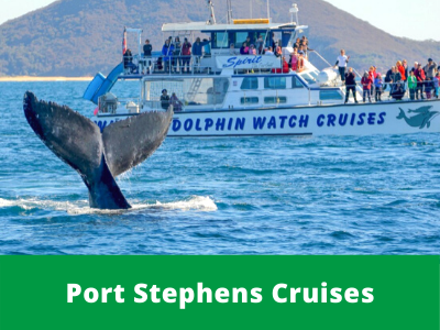 Port Stephens Whale Watching & Dolphin Cruises