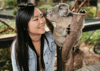 Koala Photo Experience